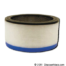 Bissell BigGreen Commercial Motor Filter Ulpa (Blue) for BGCOMP9H, Part # ULPACART-09